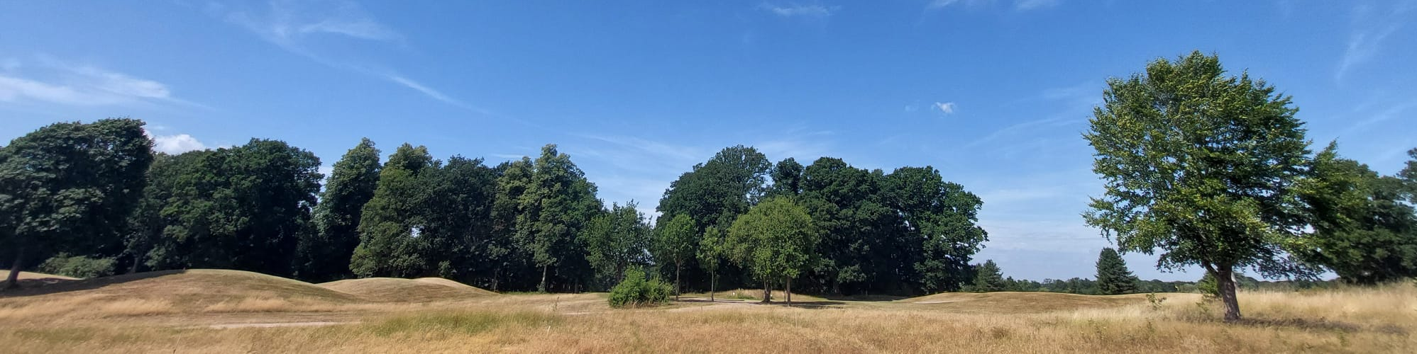 Blue skies and parched grass on The Warwickshire golf course