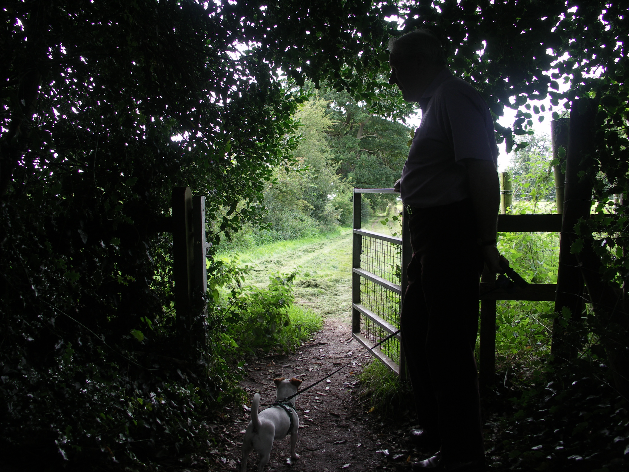 Footpath gate