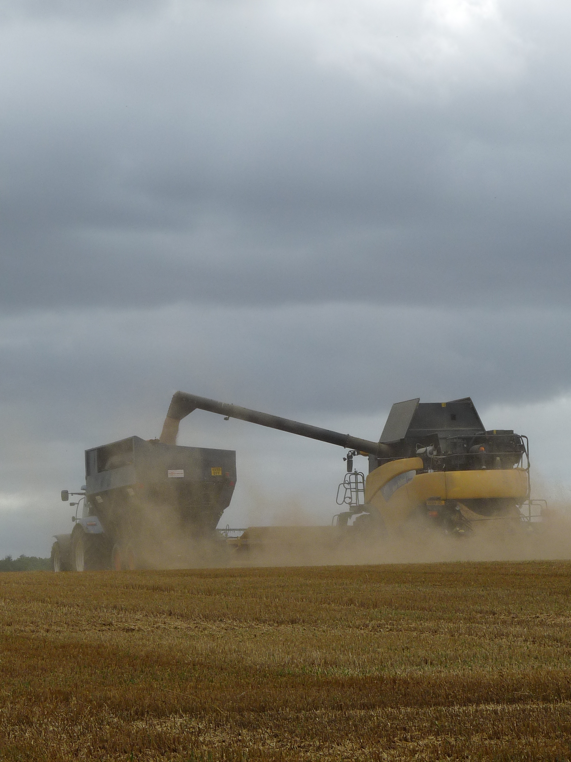 Harvest in Leek Wootton